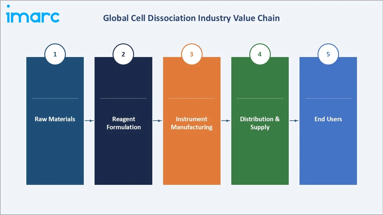 Cell Dissociation Market Value Chain