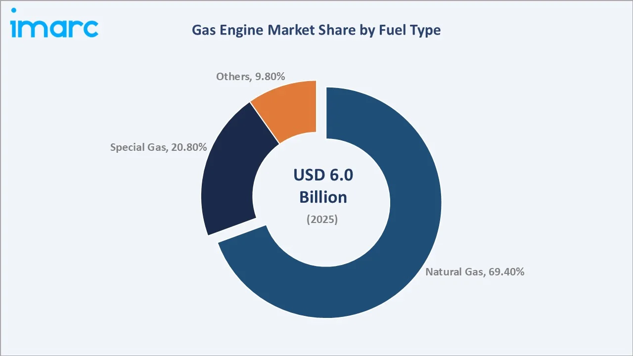 Gas Engine Market By Fuel Type