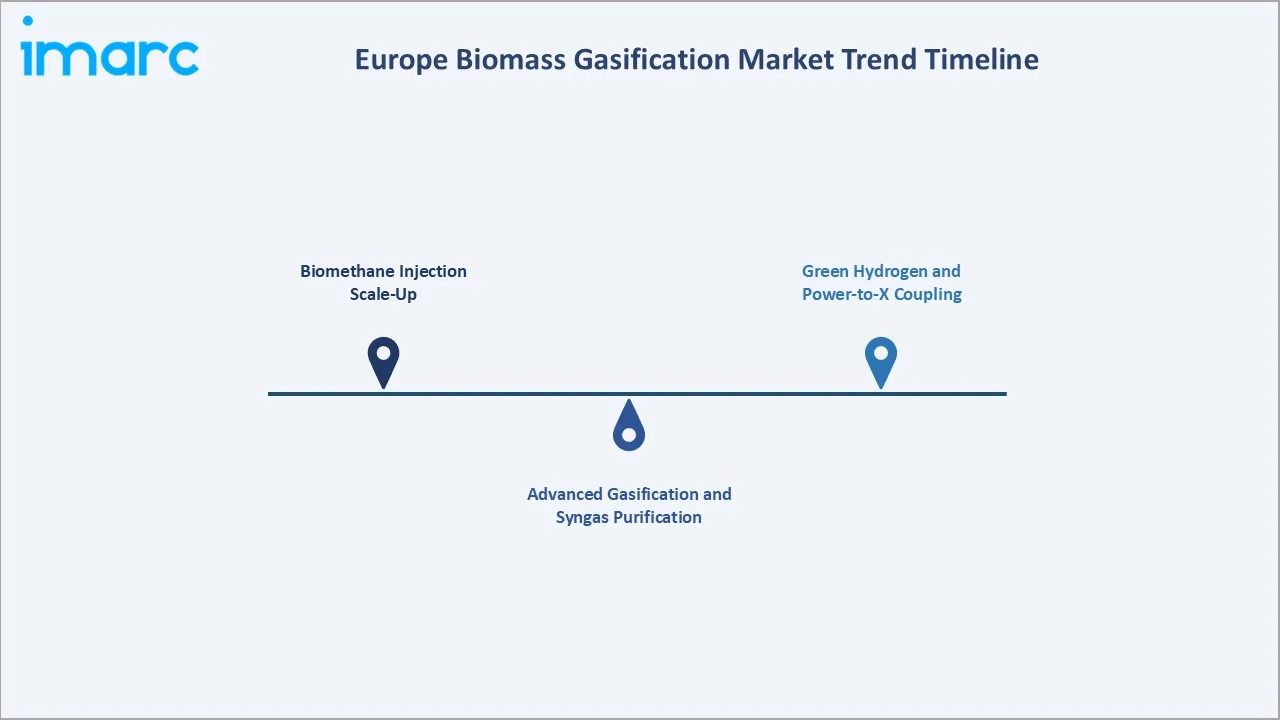 Europe Biomass Gasification Market Trend Timeline