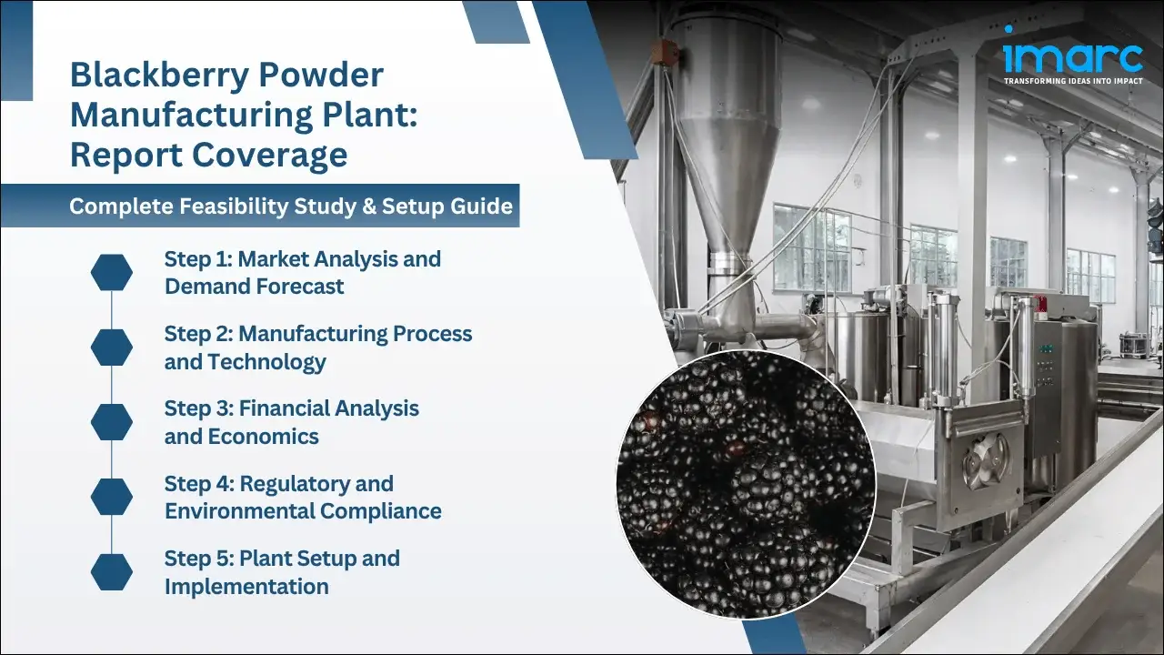 Blackberry Powder Manufacturing Plant Project Report