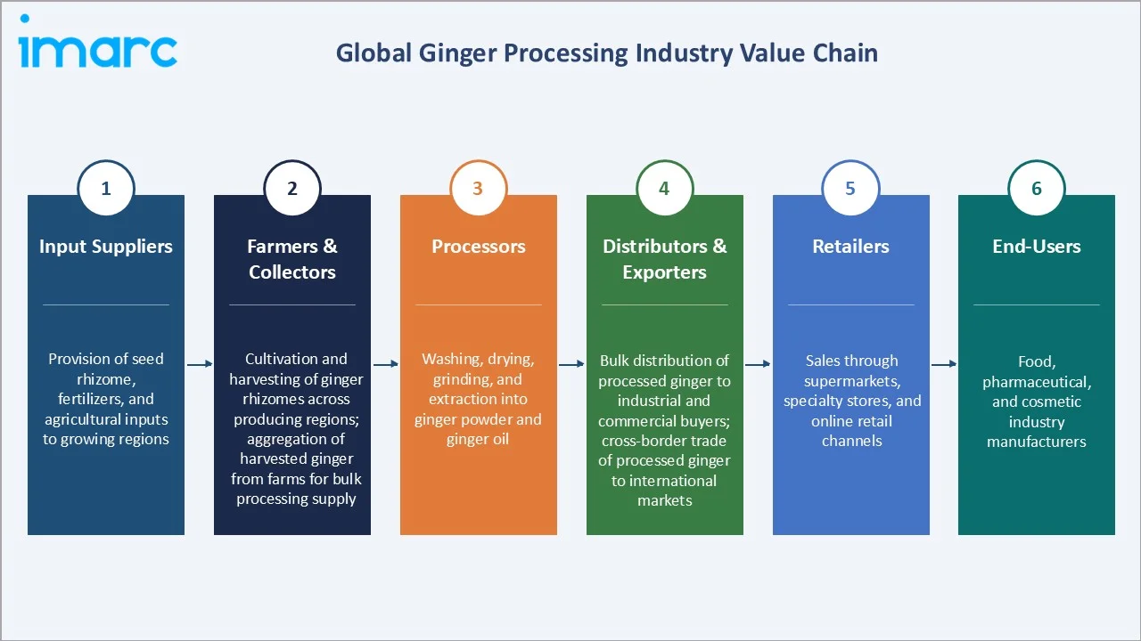 Ginger Processing Market Industry Value Chain