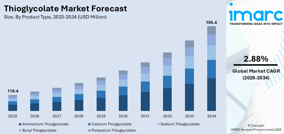 Thioglycolate Market Size