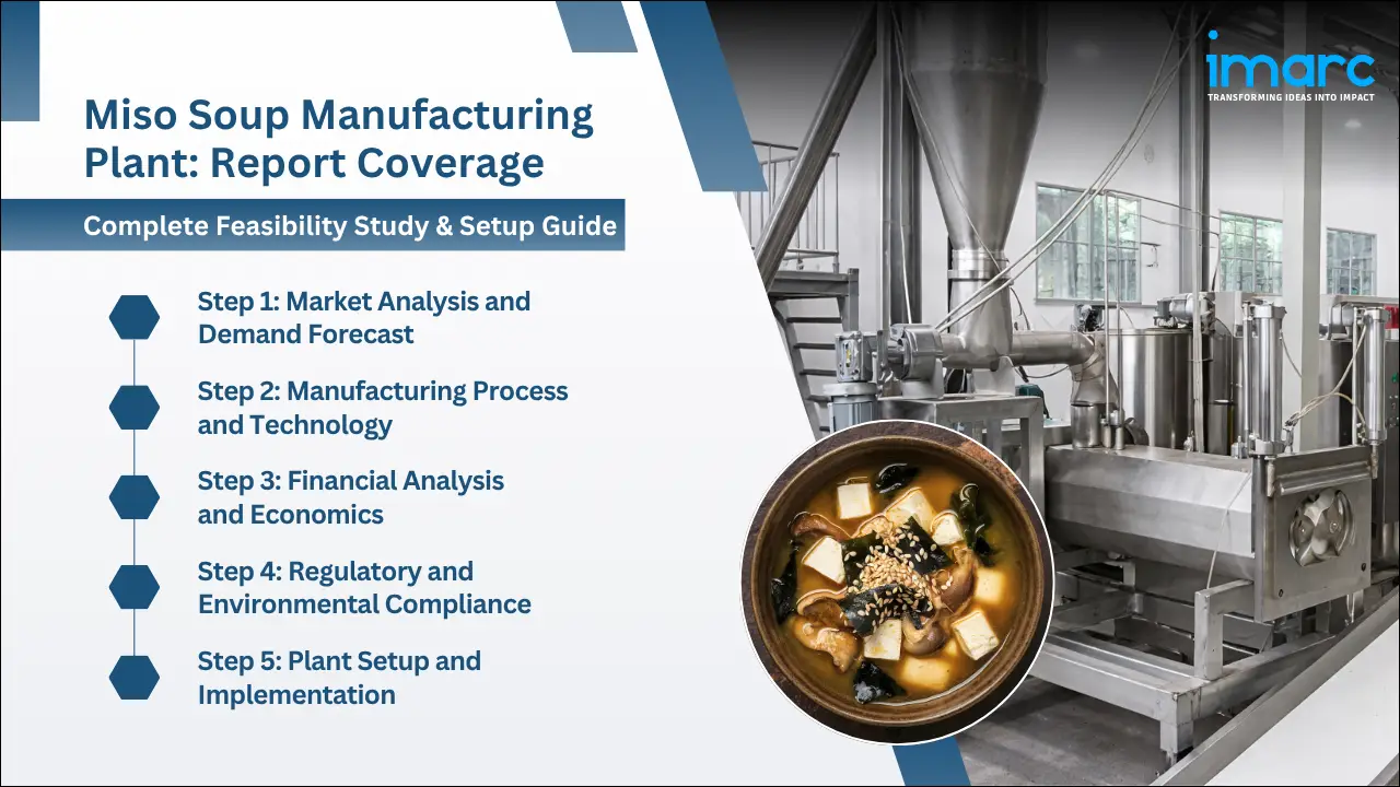 Miso Soup Manufacturing Plant Project Report