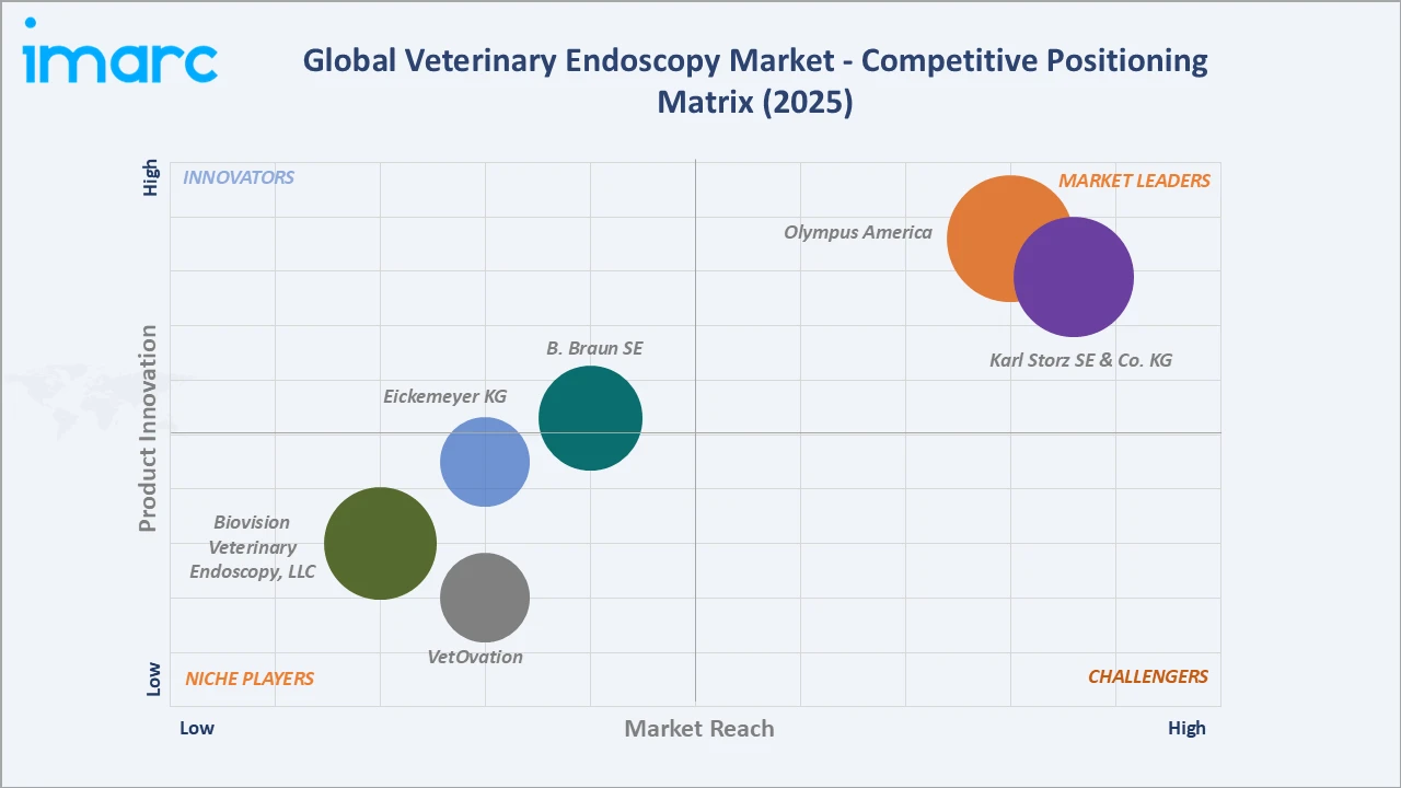 Veterinary Endoscopy Market Competitive Positioning Matrix