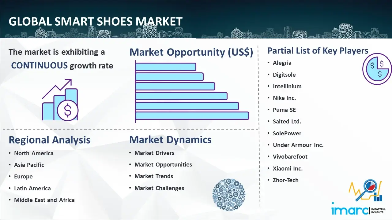 Global Smart Shoes Market
