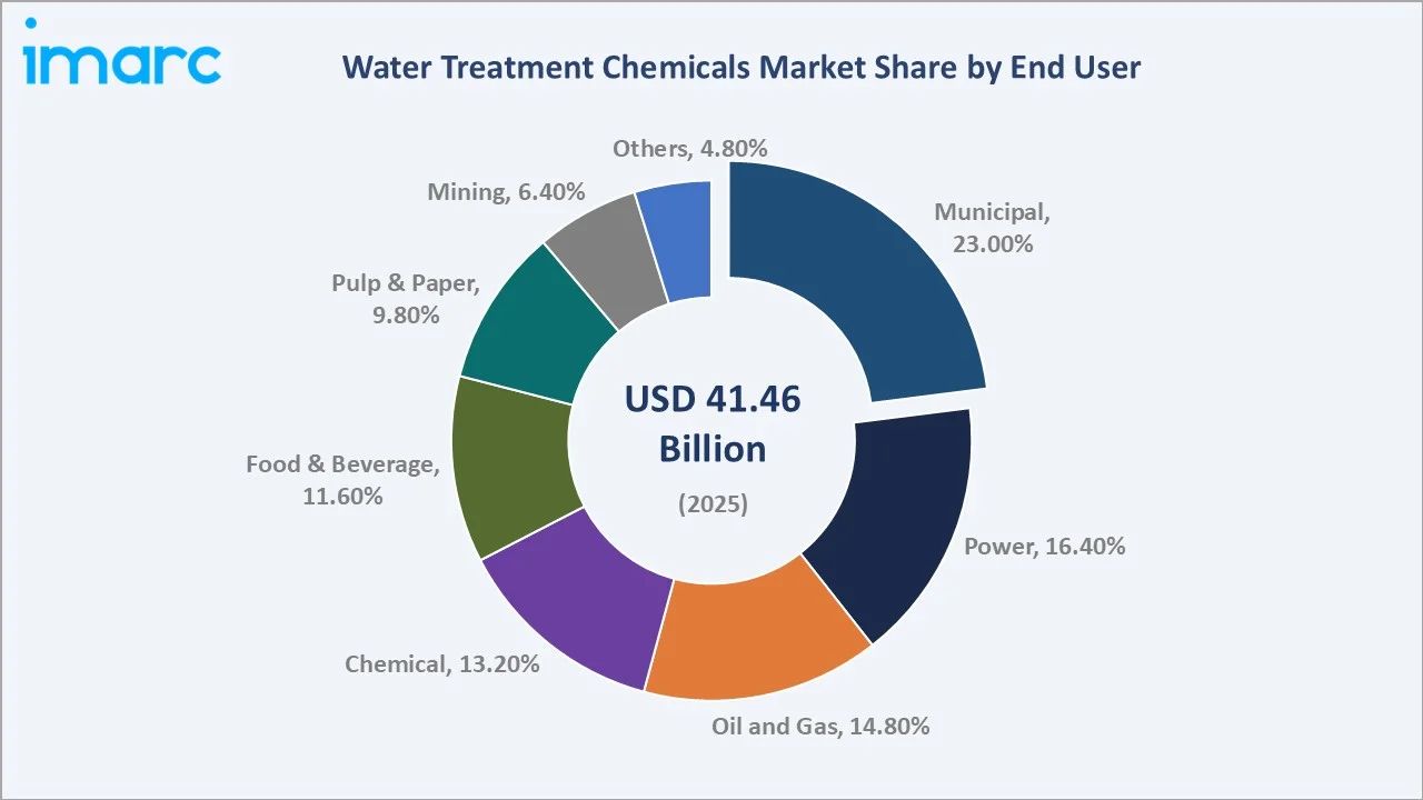 Water Treatment Chemicals Market By End-User