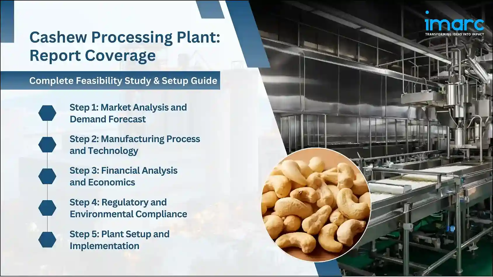 Cashew Processing Plant Cost