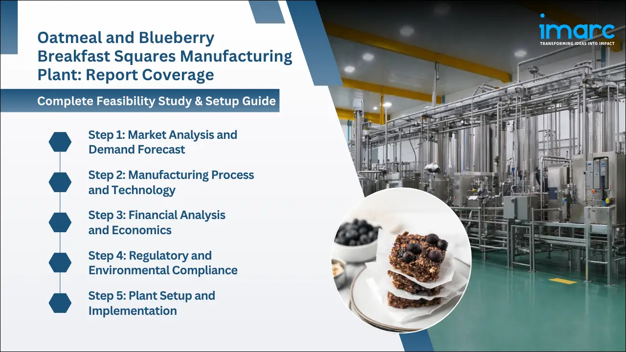 Oatmeal and Blueberry Breakfast Squares Manufacturing Plant