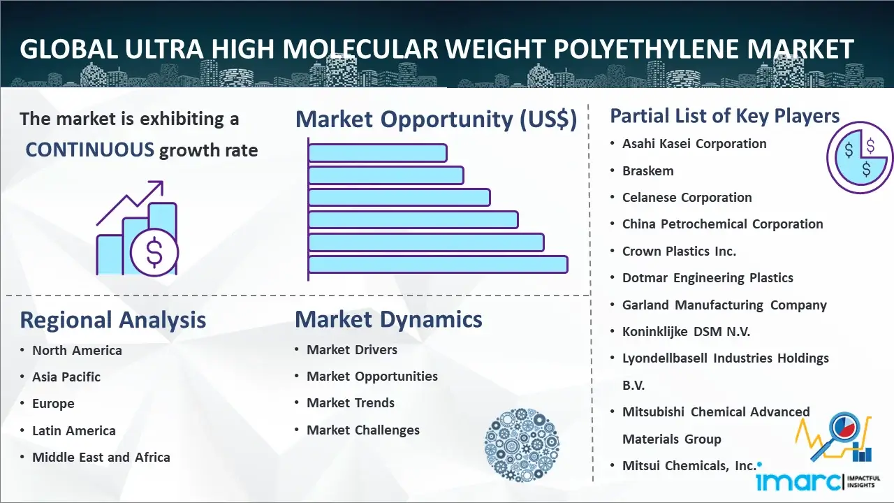 Global Ultra High Molecular Weight Polyethylene Market