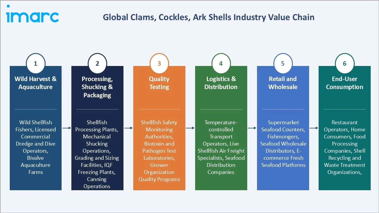 Clams, Cockles, Ark Shells Market Industry Value Chain