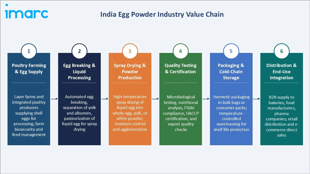 India Egg Powder Market Industry Value Chain