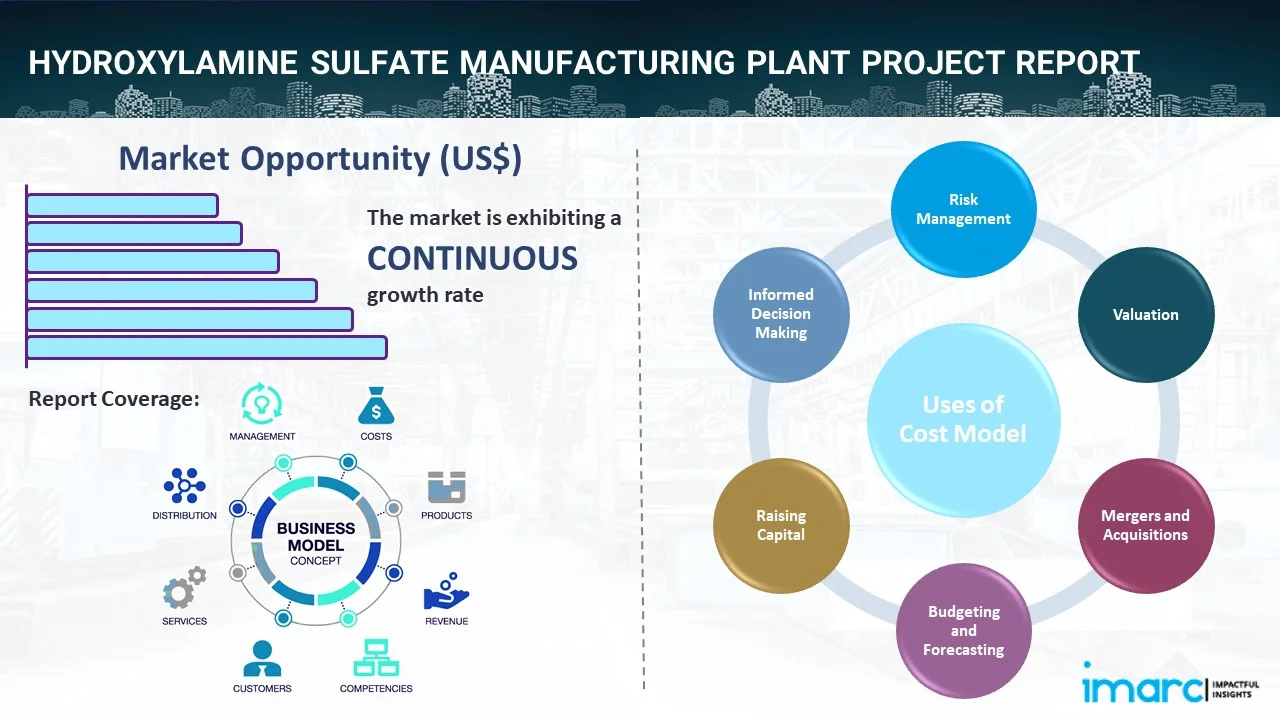 Hydroxylamine Sulfate Manufacturing Plant Project Report