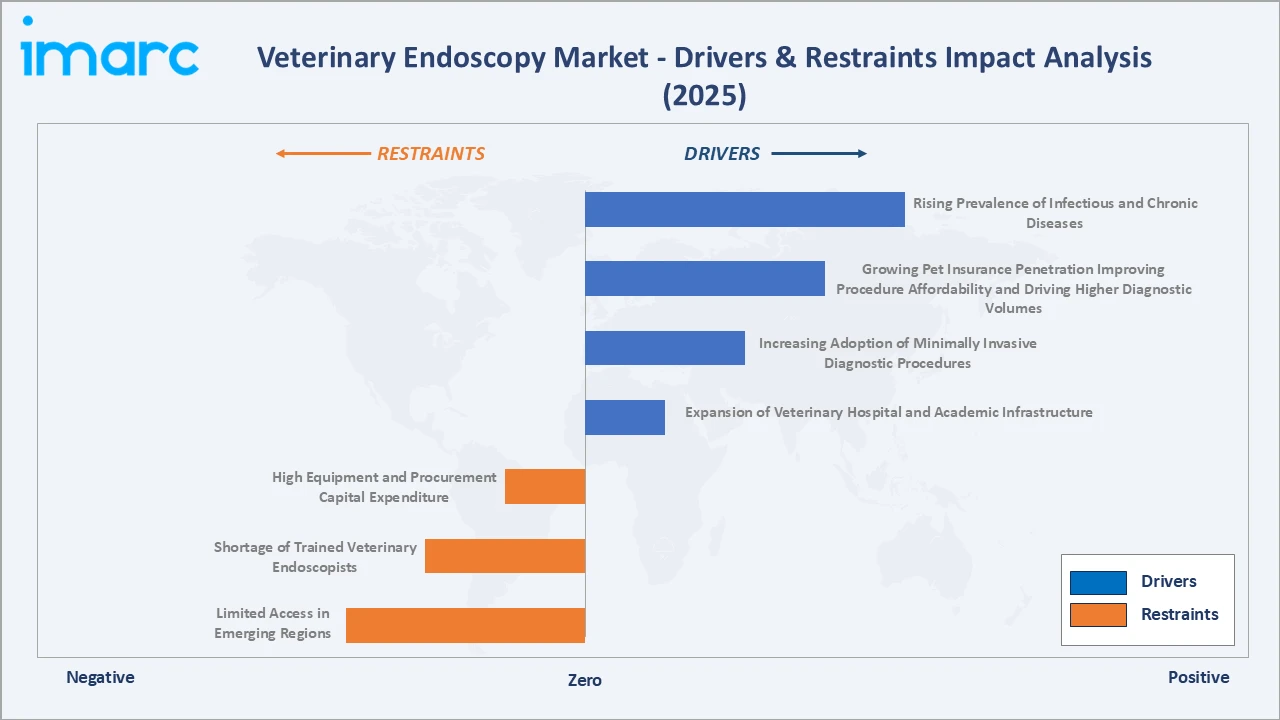 Veterinary Endoscopy Market Drivers & Restraints