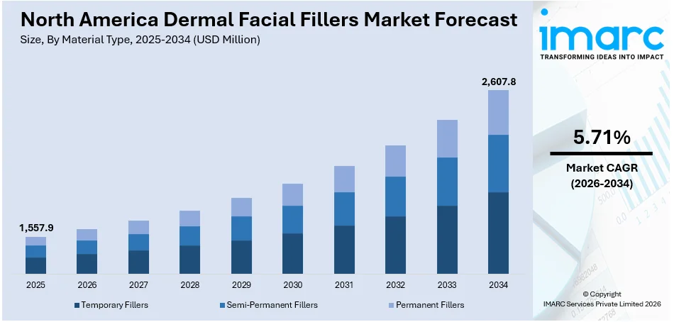 North America Dermal Facial Fillers Market Size