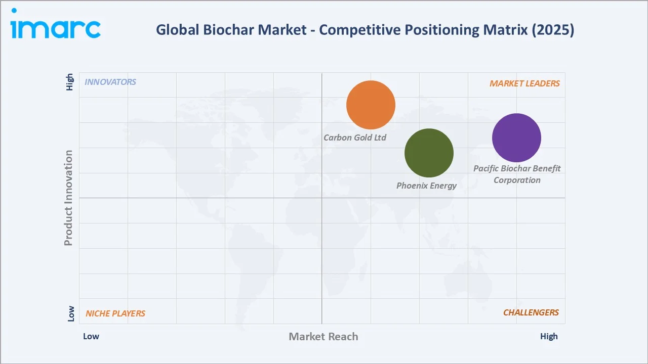 Biochar Market Competitive Positioning Matrix