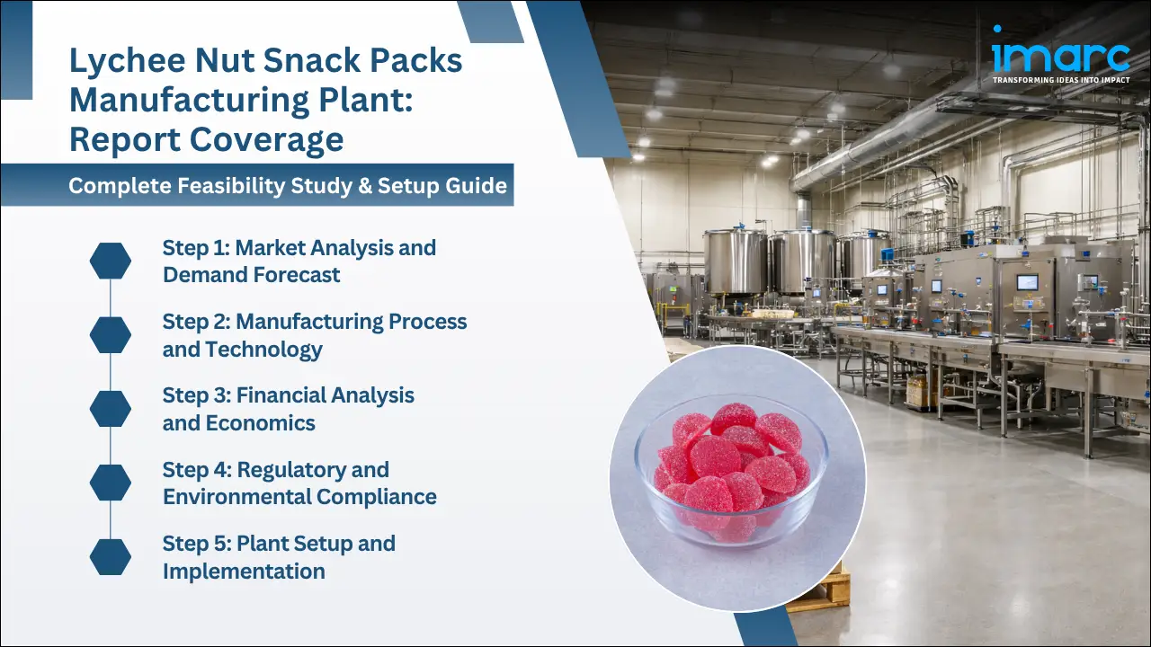 Lychee Nut Snack Packs Manufacturing Plant Project Report