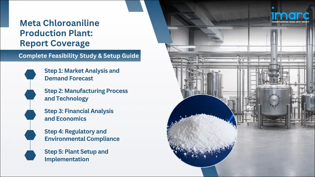 Meta Chloroaniline Production Cost Analysis Report