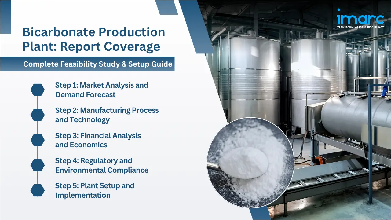 Bicarbonate Production Cost Analysis Report