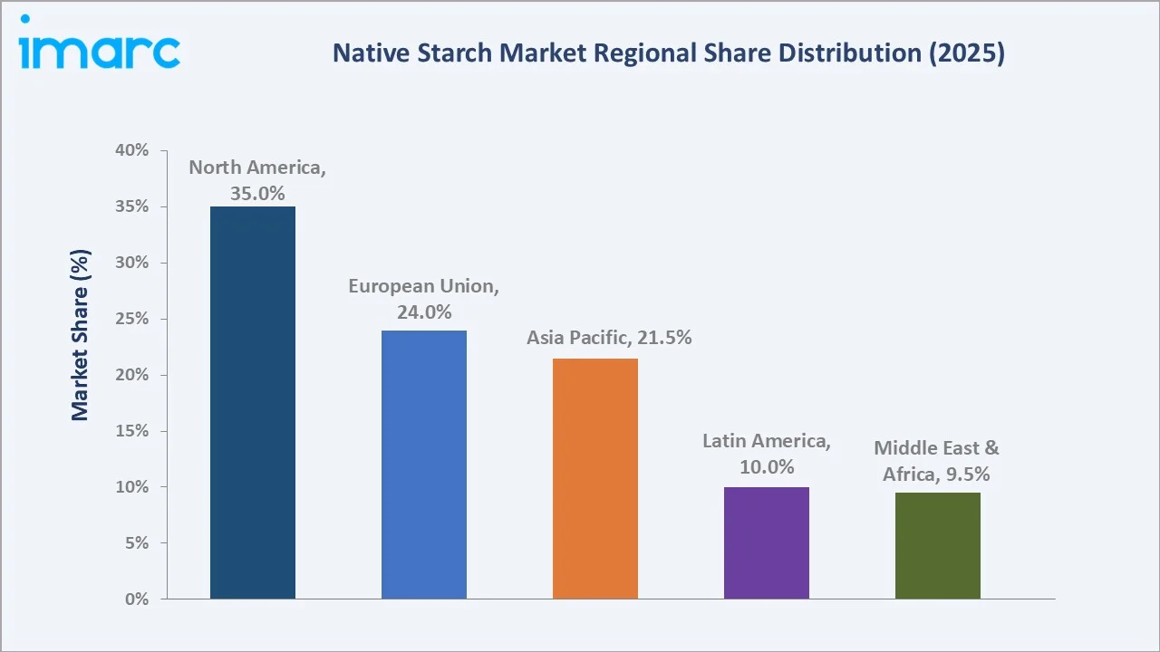 Native Starch Market by Region