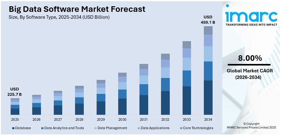 Big Data Software Market Size