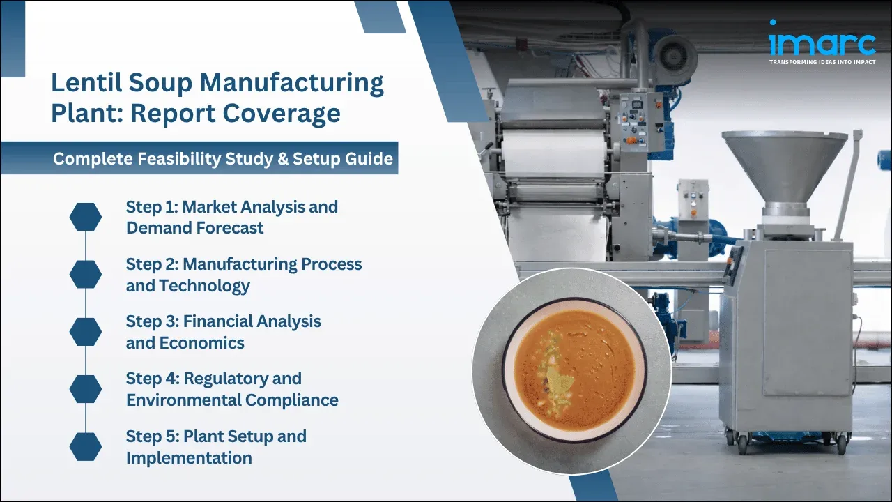 Lentil Soup Manufacturing Plant