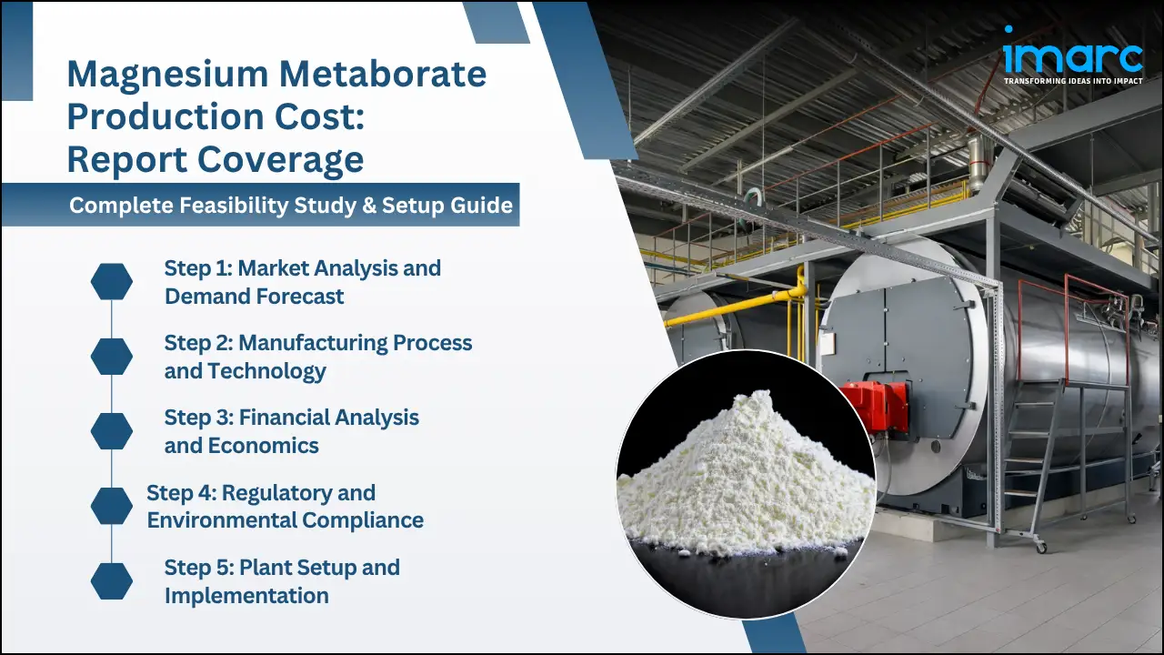 Magnesium Metaborate Production Cost Analysis Report