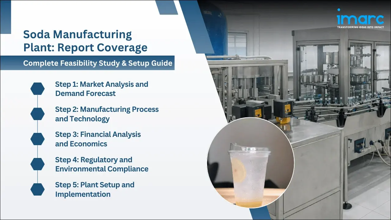 Soda Manufacturing Plant Project Report