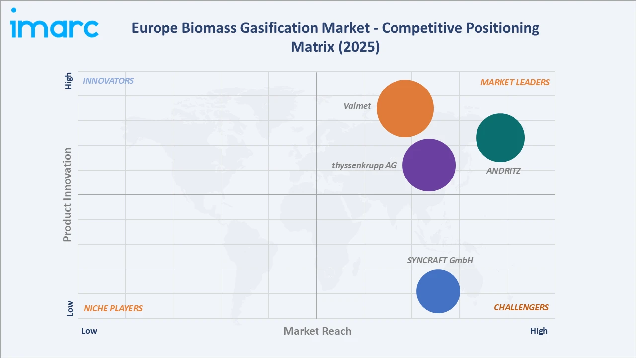 Europe Biomass Gasification Market Competitive Positioning Matrix