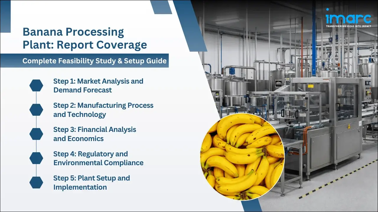 Banana Processing Plant Project Report