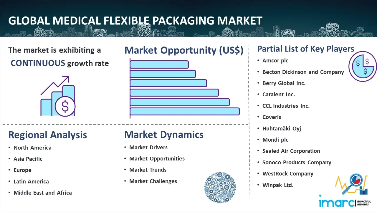 Global Medical Flexible Packaging Market