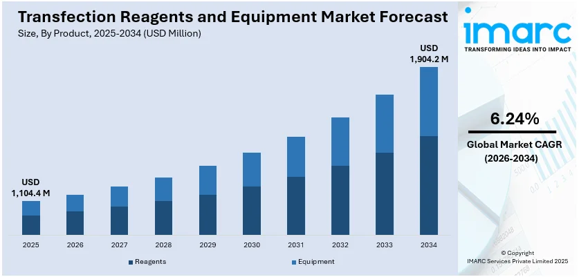 Transfection Reagents and Equipment Market Size