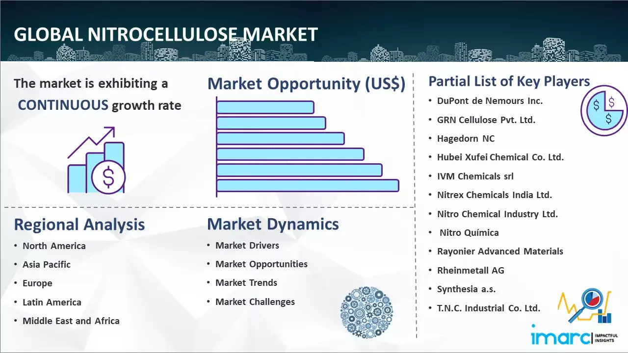 Global Nitrocellulose Market