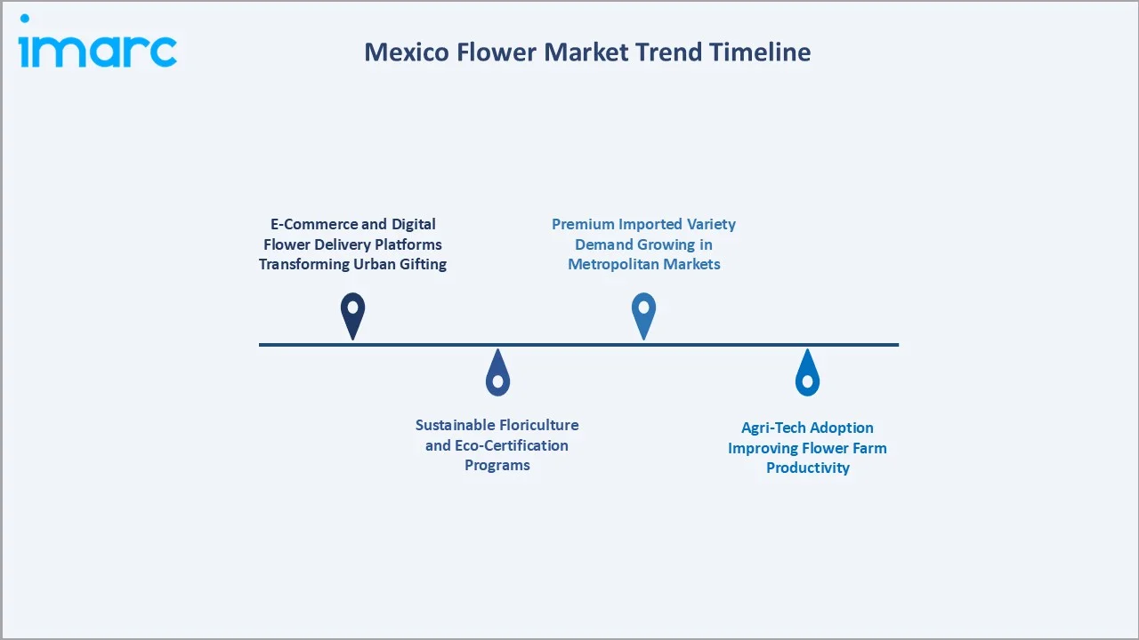 Mexico Flower Market Trend Timeline