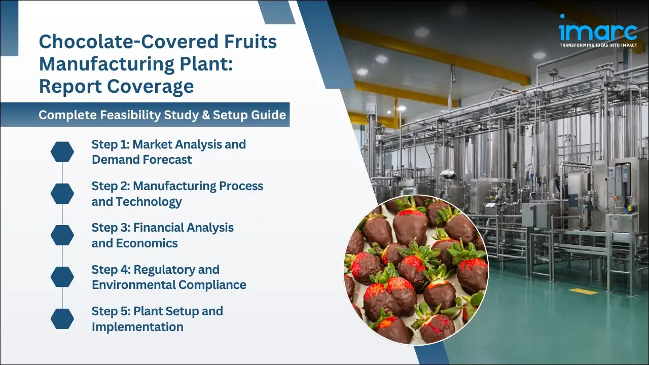 Chocolate-Covered Fruits Manufacturing Plant Project Report