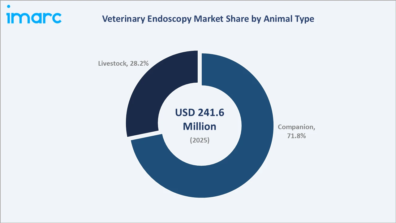 Veterinary Endoscopy Market By Animal Type