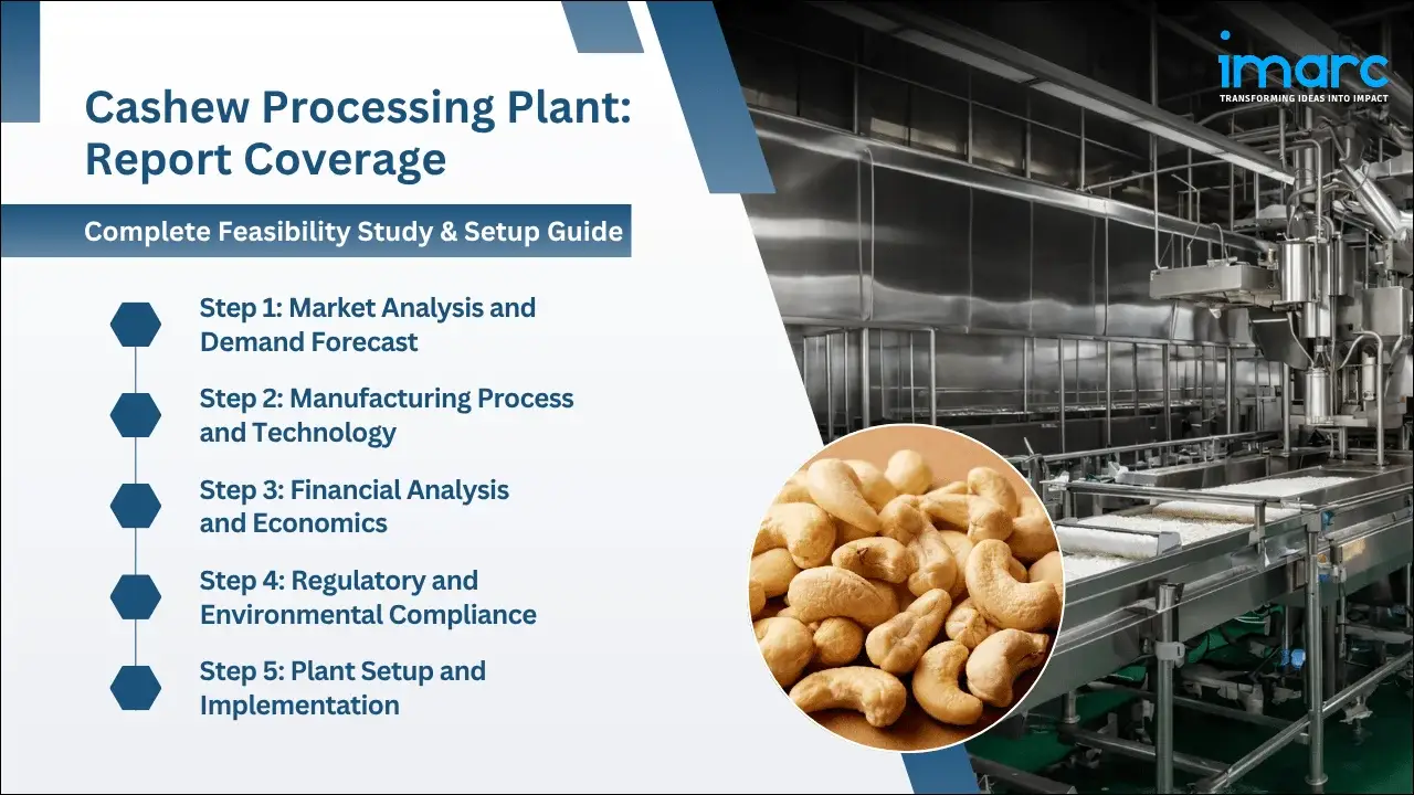 Cashew Processing Plant Cost