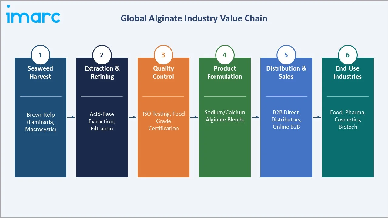 Alginate Market Industry Value Chain