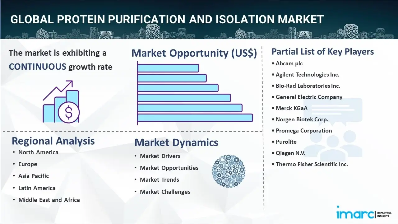 protein purification and isolation market