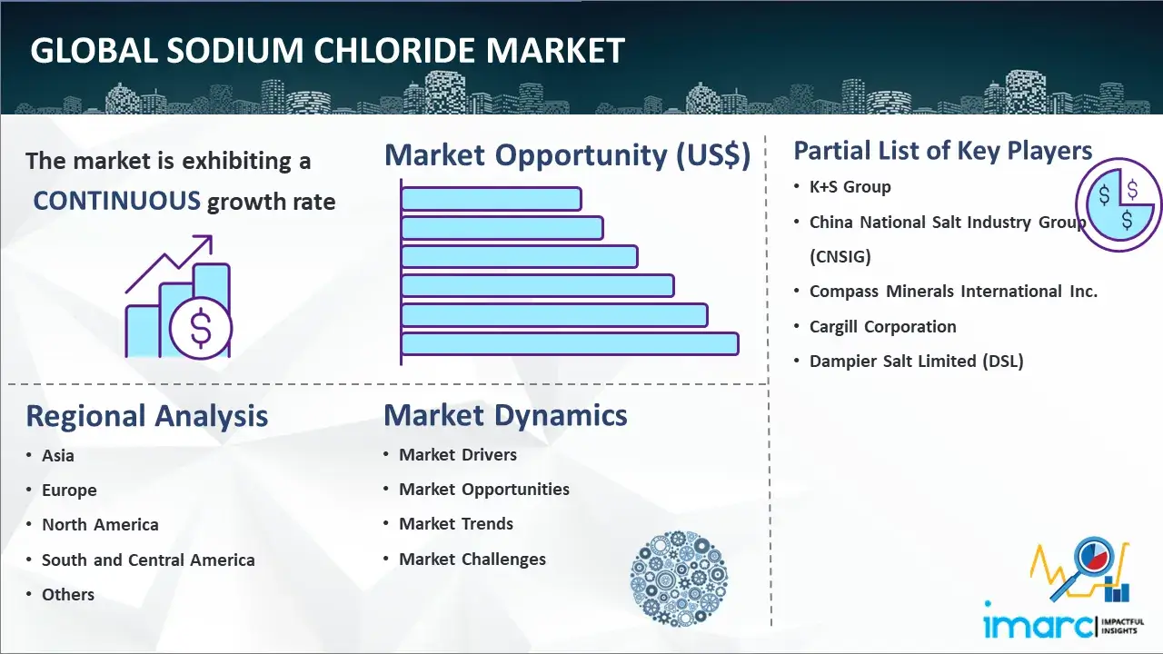 Global Sodium Chloride Market