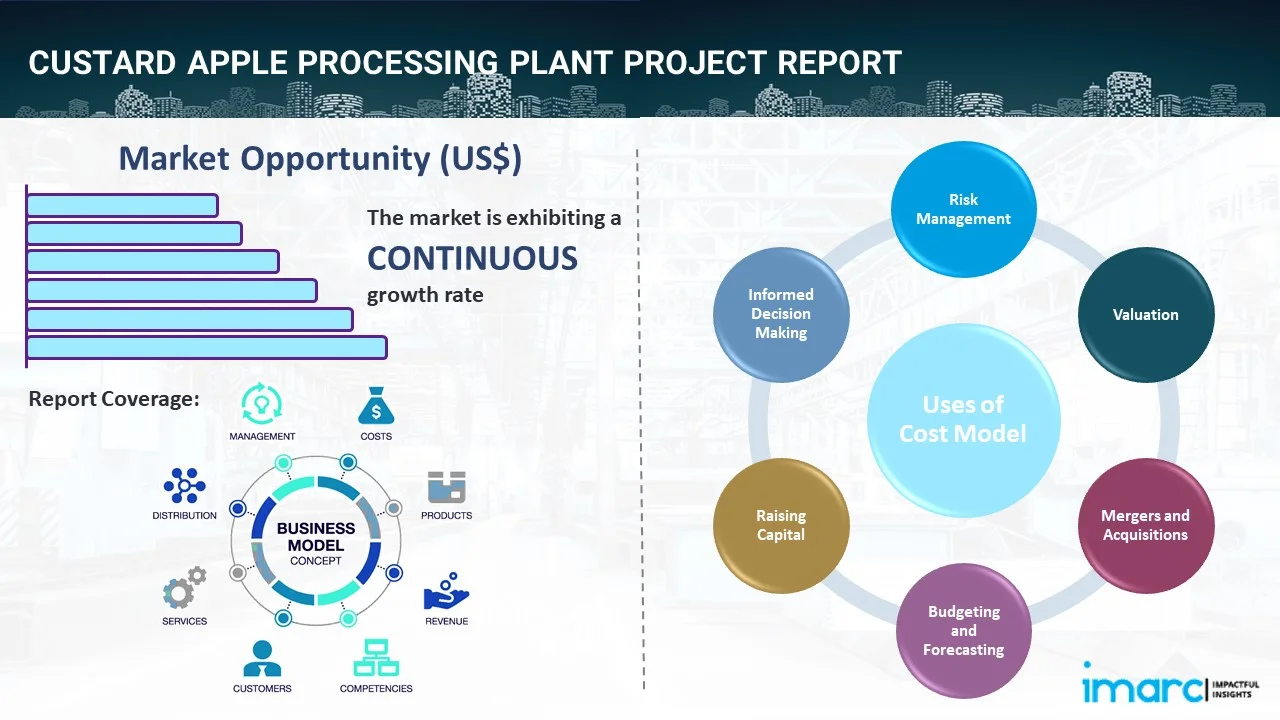 Custard Apple Processing Plant Project Report