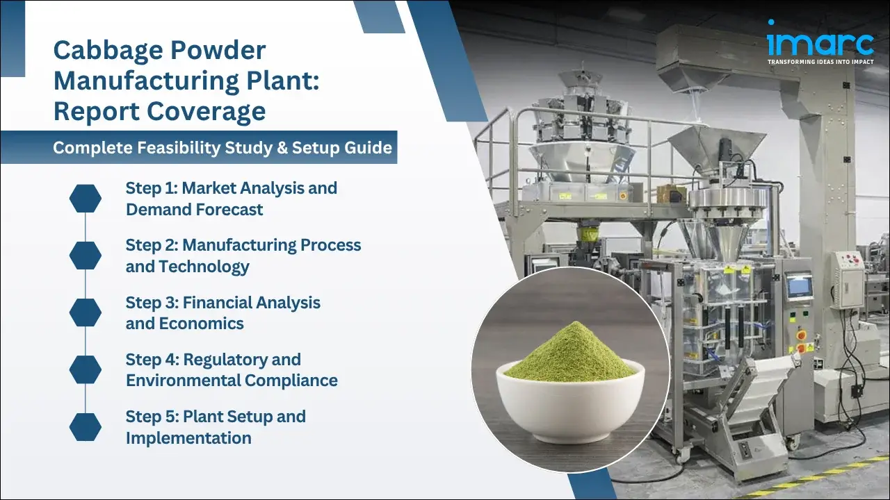 Cabbage Powder Manufacturing Plant