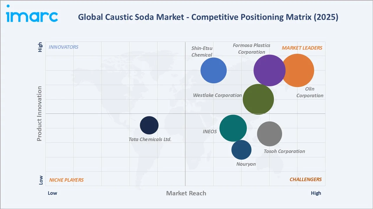 Caustic Soda Market Competitive Positioning Matrix