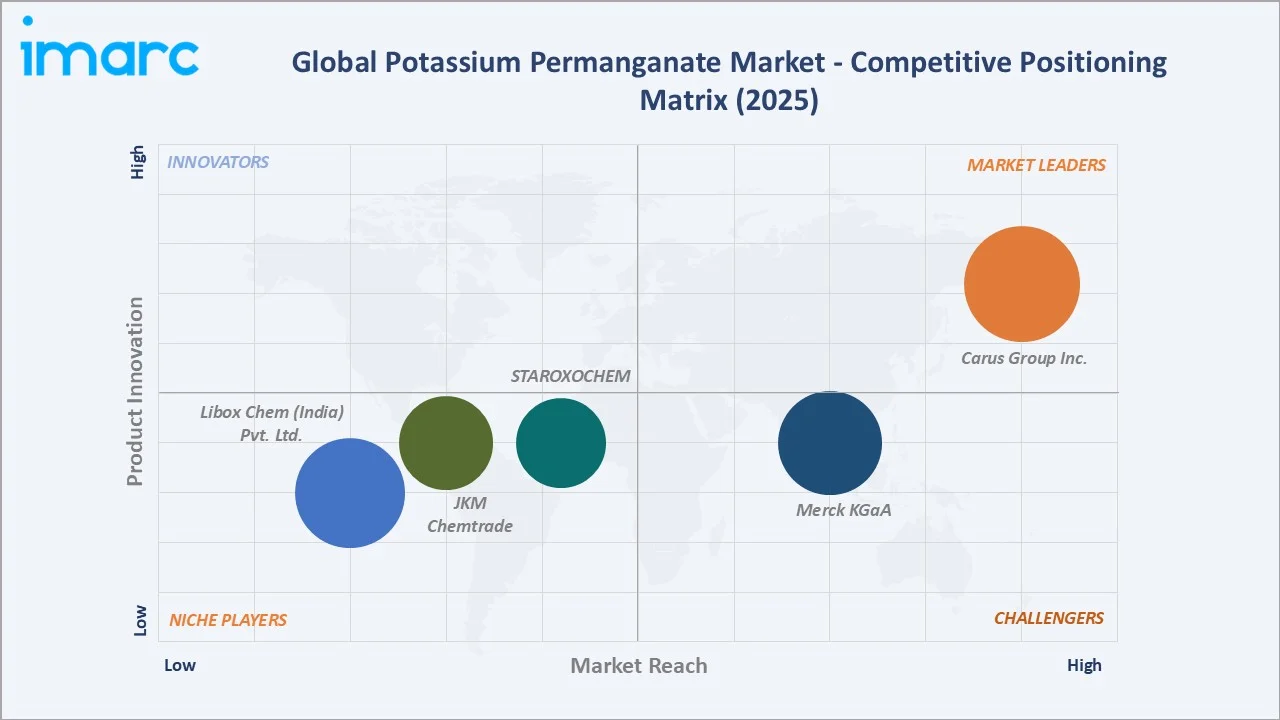 Potassium Permanganate Market Competitive Positioning Matrix