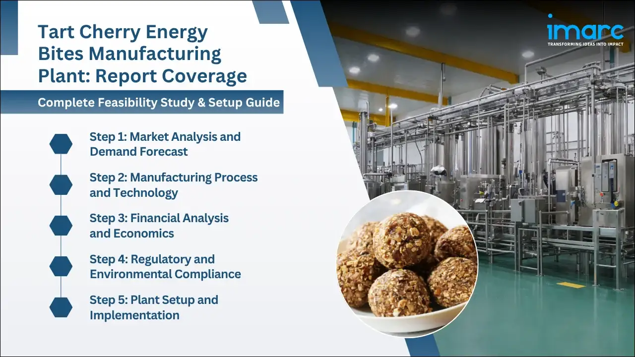 Tart Cherry Energy Bites Manufacturing Plant Project Report