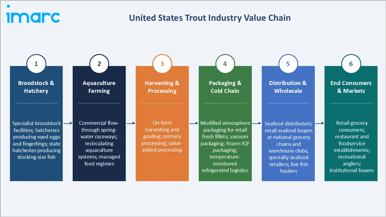 United States Trout Market Industry Value Chain