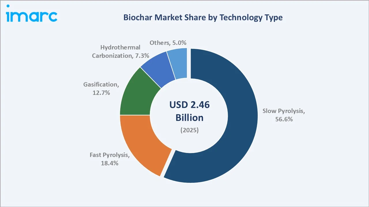 Biochar Market By Technology Type