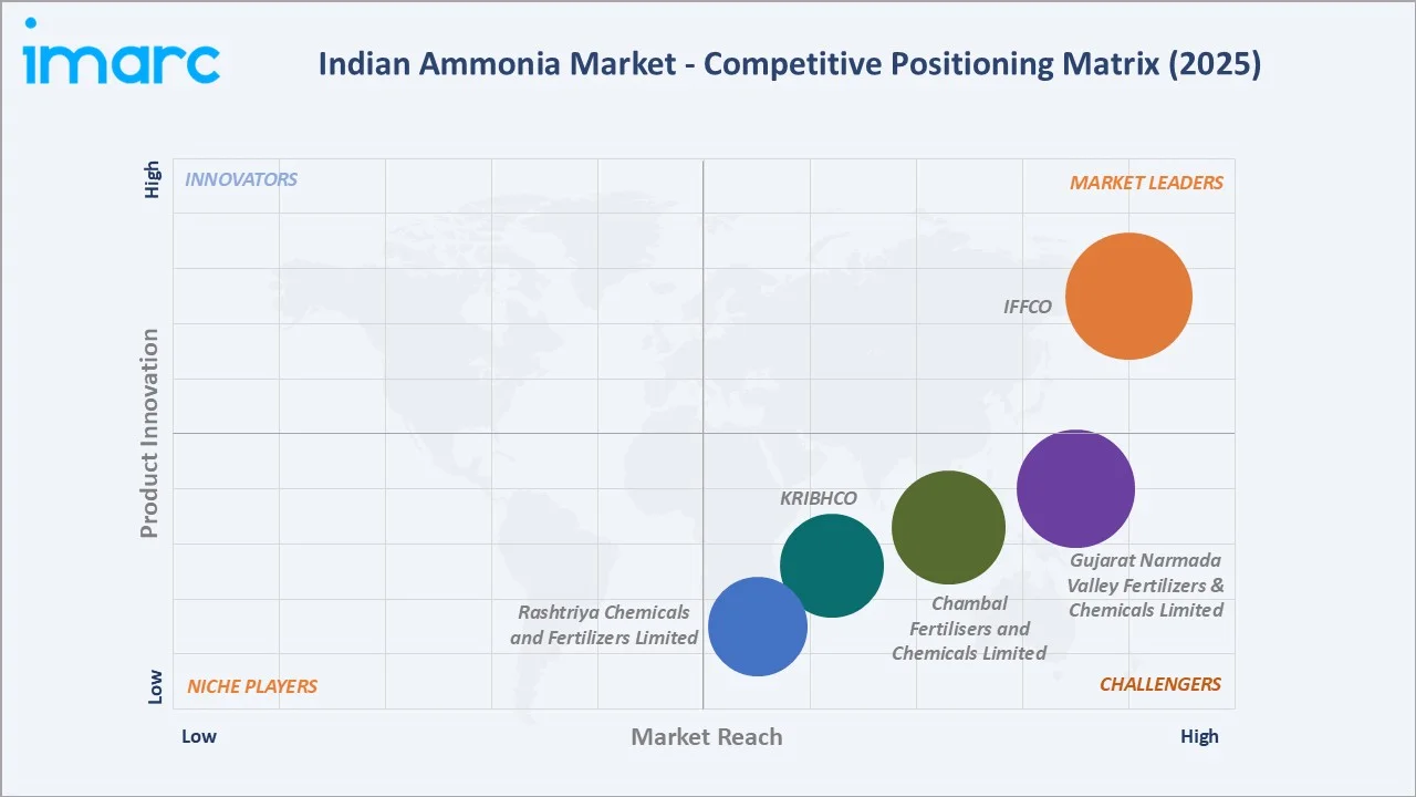 Indian Ammonia Market Competitive Positioning Matrix