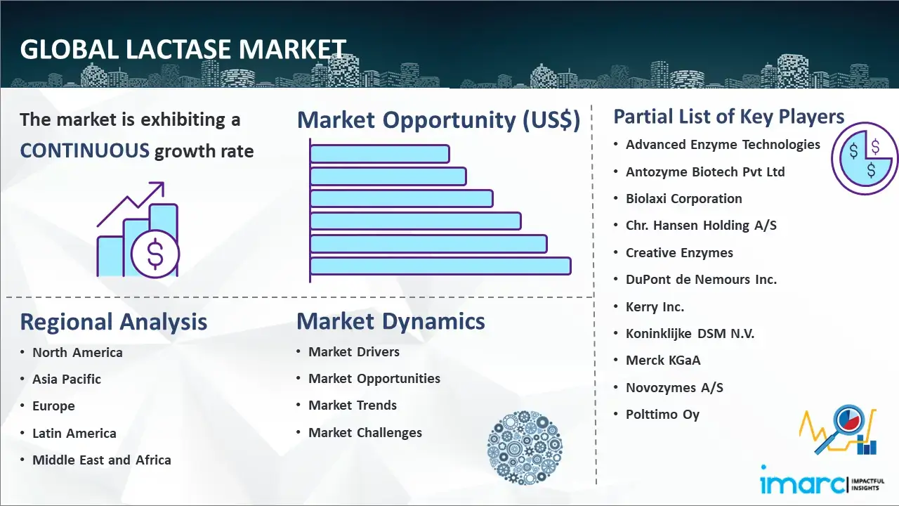 Global Lactase Market Report