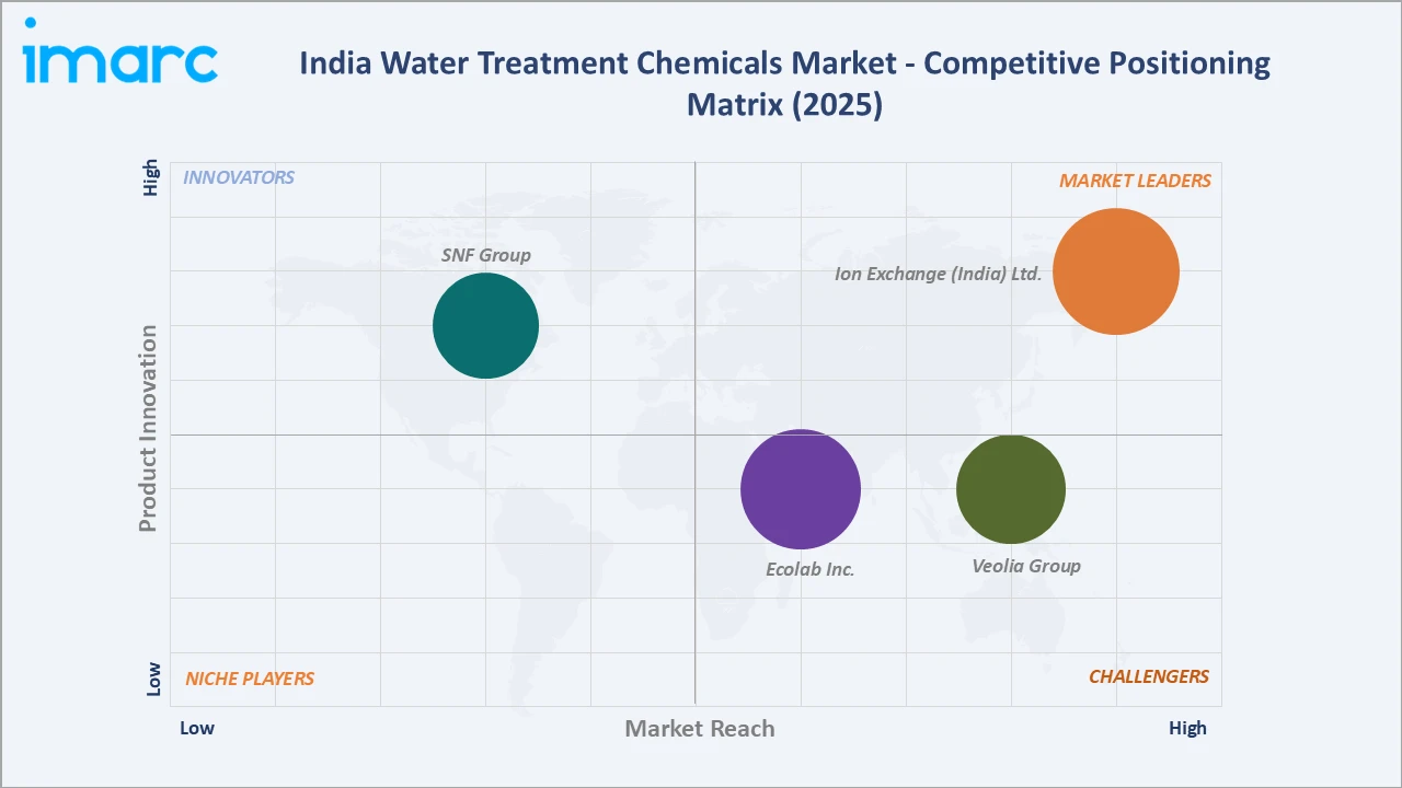 India Water Treatment Chemicals Market Competitive Positioning Matrix