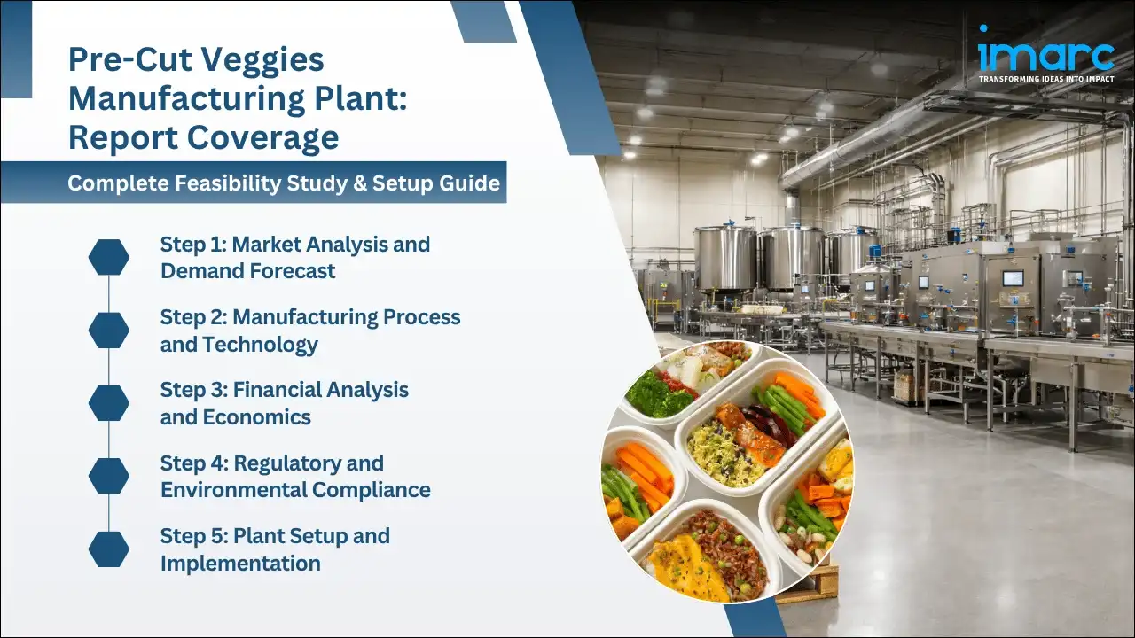 Pre-Cut Veggies Manufacturing Plant